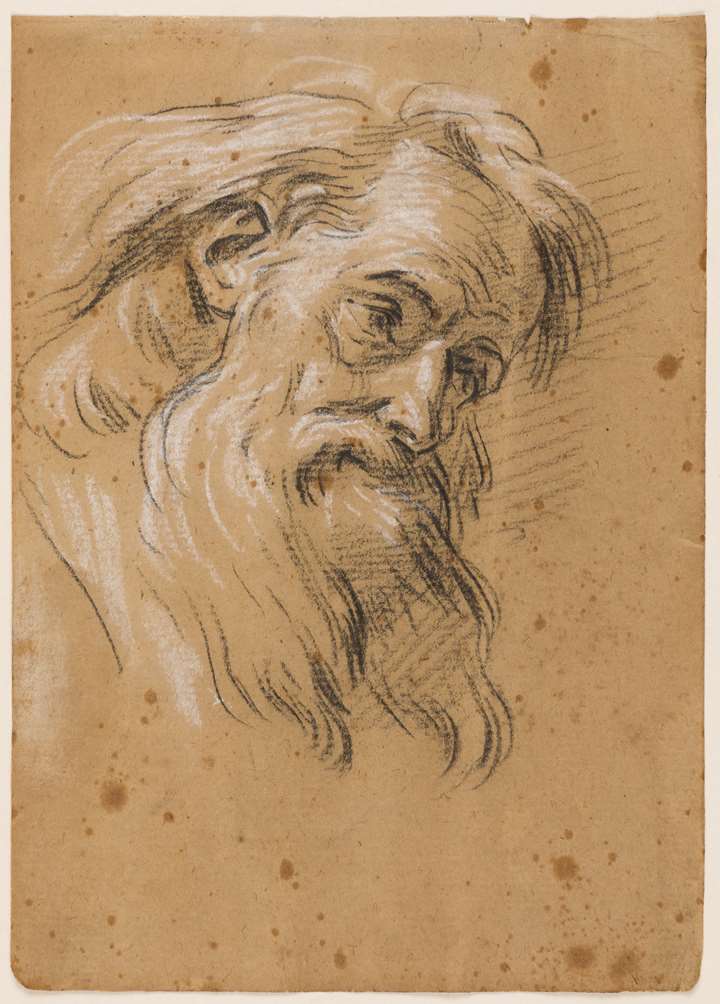 The Head of a Bearded Man